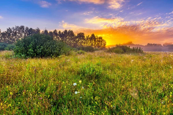 Paisaje vibrante con prado brumoso en Polonia —  Fotos de Stock