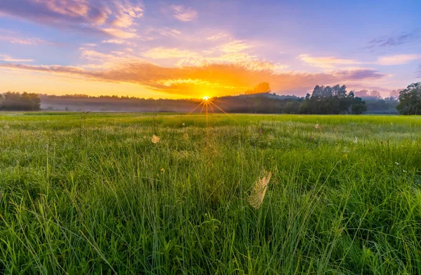 Nascer do sol no prado nebuloso da manhã com teias de aranha — Fotografia de Stock