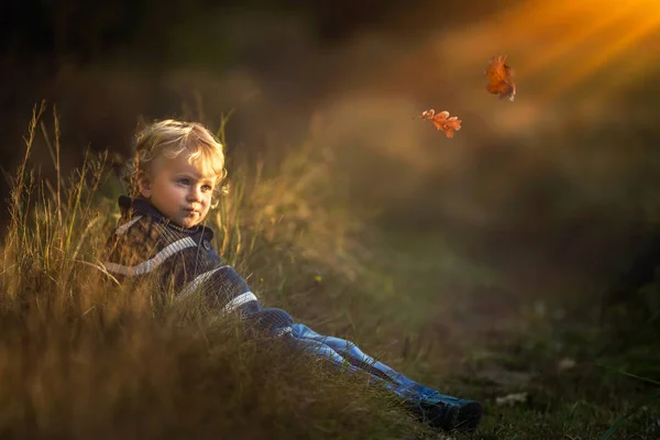 Menino brincando ao ar livre em cenário de outono. Feliz caucasi 3 anos — Fotografia de Stock