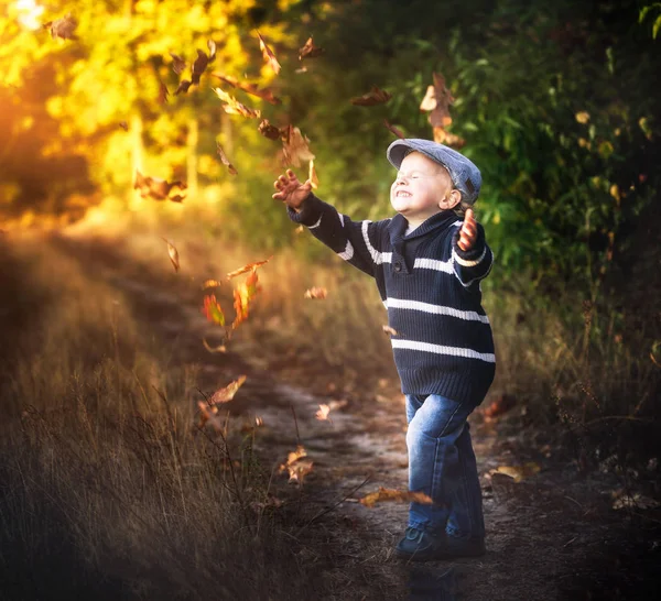 Menino brincando ao ar livre em cenário de outono. Feliz caucasi 3 anos — Fotografia de Stock