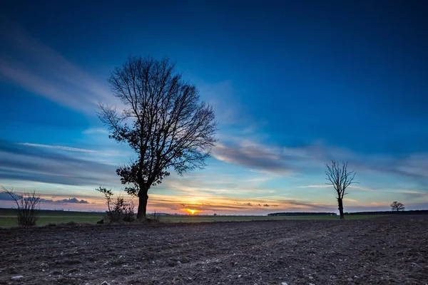 Tidigt på våren fält vid solnedgången — Stockfoto