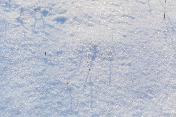 Snow background in close up — Stock Photo, Image