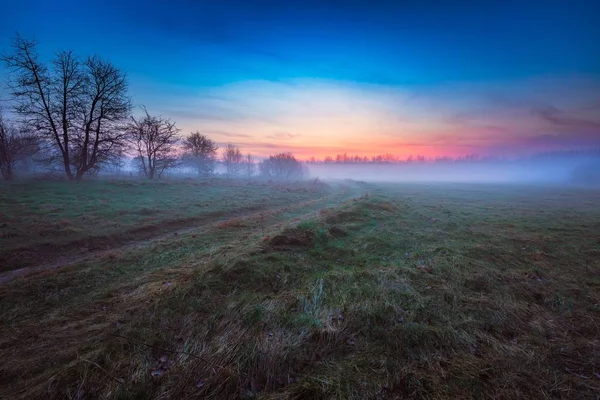 Marzycielski łąka mglisty krajobraz — Zdjęcie stockowe