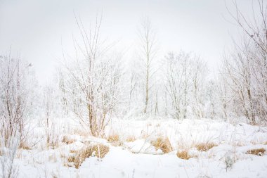Lehçe kış manzarası 