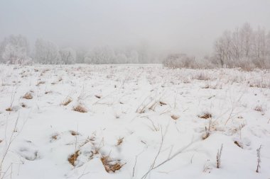 Lehçe kırsal kış sisli peyzaj