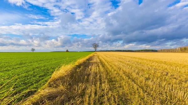 Paisaje de campo empedrado bajo cielo nublado —  Fotos de Stock