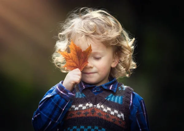 Kaukasiska pojke håller röda lönnlöv — Stockfoto