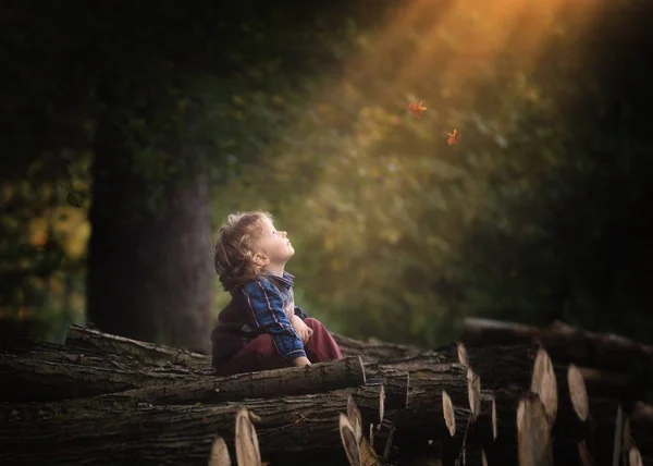 Giovane ragazzo caucasico in attesa di cadere foglie in autunno — Foto Stock