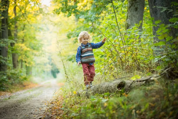 Ung pojke spelar i höstlig skog — Stockfoto
