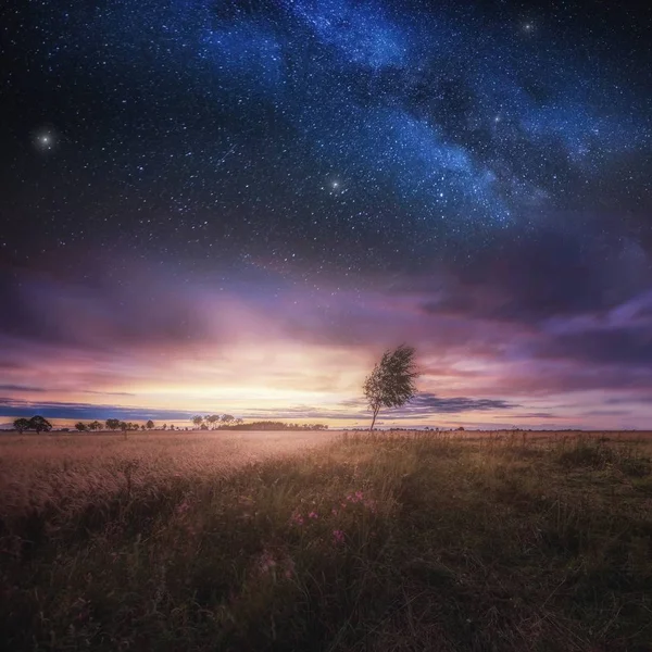 Beau paysage avec champ sous le ciel avec étoiles — Photo