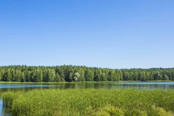 A tó és az erdő nyugodt táj — Stock Fotó