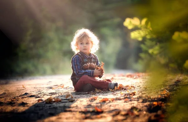 Kleine jongen spelen buiten in herfst licht — Stockfoto