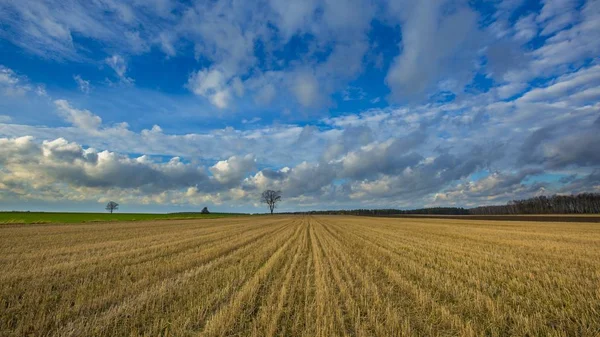 Stubble campo paesaggio sotto cielo nuvoloso — Foto Stock