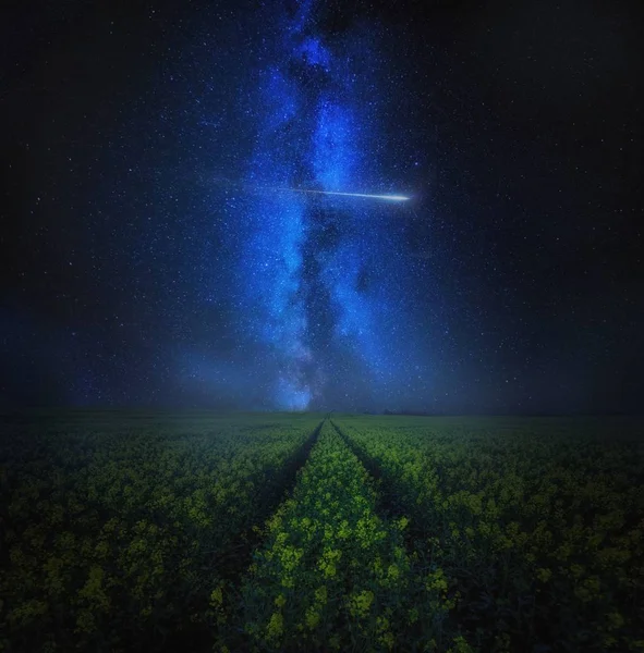 Céu estrelado sobre florescendo campo de sementes de colza, paisagem de arte — Fotografia de Stock