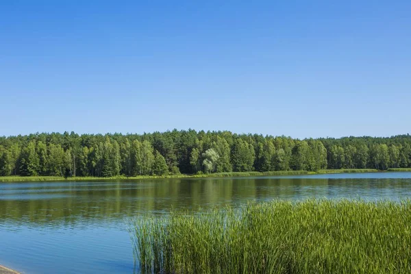 Paisagem calma com lago e floresta — Fotografia de Stock