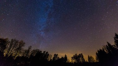 Orman üzerinde Samanyolu ile yıldızlı gece gökyüzü