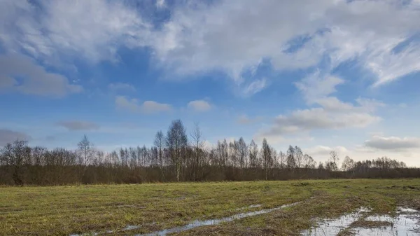 Meadow landscape with puddle — Stock Photo, Image