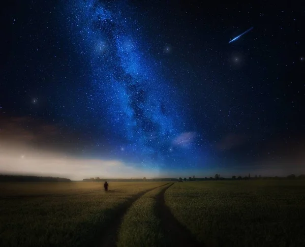Paysage nocturne avec silhouette homme sur jeune champ de blé — Photo