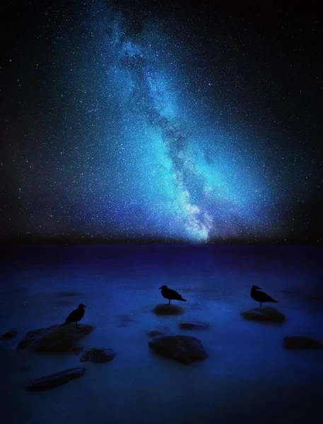 Night sky with milky way over sea shore with rocks and resting birds