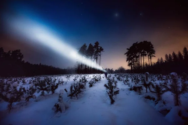 Surreal night forest landscape with alone strange man with flashlight. — Stock Photo, Image
