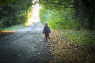 Küçük çocuk sonbahar ışığında açık oynarken