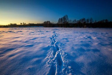 Kış manzara güzel güneşli akşam. Sakin kış sahne.