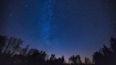 Beautiful night sky with Milky Way over forest. Night landscape. clipart