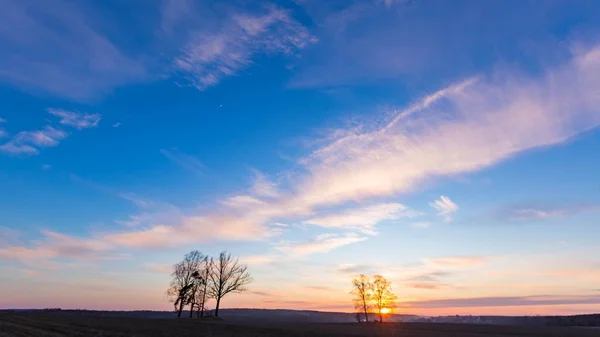 Όμορφη Βραδιά Πολύχρωμο Ουρανό Πάνω Από Οργωμένα Χωράφια Και Δέντρα — Φωτογραφία Αρχείου