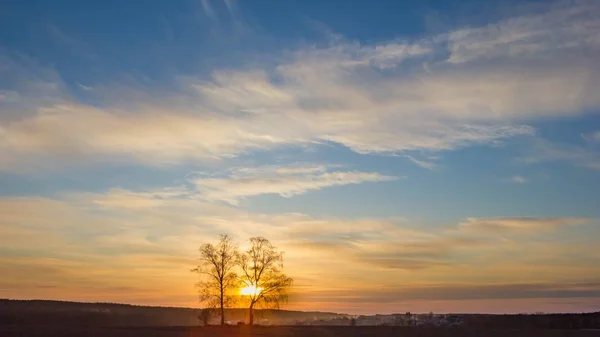 Όμορφη Βραδιά Πολύχρωμο Ουρανό Πάνω Από Οργωμένα Χωράφια Και Δέντρα — Φωτογραφία Αρχείου