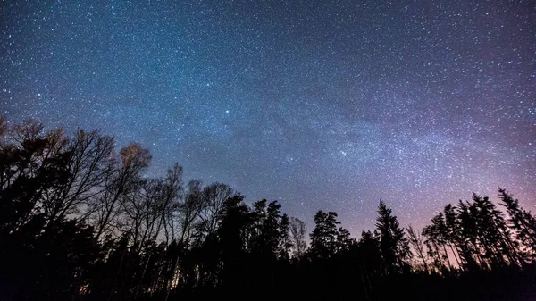 Noite Céu Estrelado Com Caminho Leitoso Sobre Floresta Primavera — Fotografia de Stock