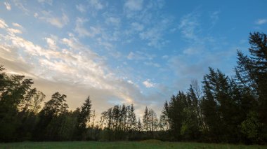 Çayır ve ormanın üzerinde güzel bir akşam ya da sabah gökyüzü. Polonya kırsal kesimi.