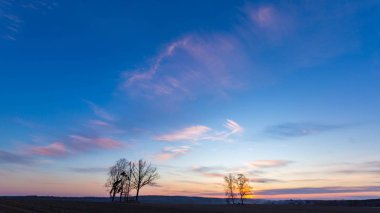 Tarlaların ve ağaçların üzerinde güzel, renkli bir akşam, tipik Avrupa köyü manzarası..