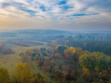 Güzel, puslu orman manzarası İHA 'dan çekildi..