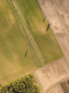 Sonbahar arazili insansız hava aracı manzarası. Doğa yukarıdan