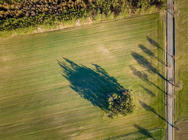 Paesaggio Drone Con Campi Autunnali Natura Dall Alto — Foto Stock