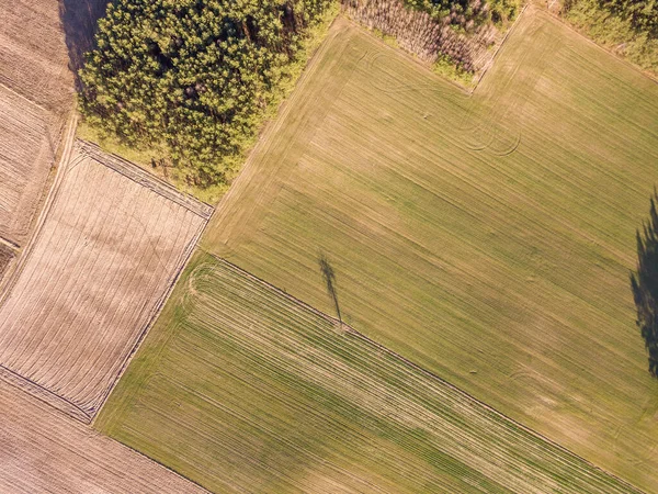 Drone Landscape Autumnal Fields Nature — Stock Photo, Image