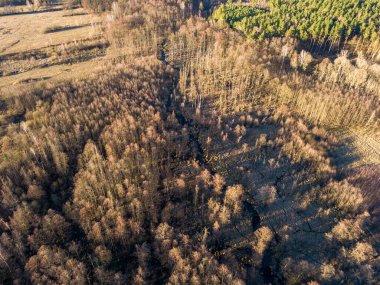 Sonbahar arazili insansız hava aracı manzarası. Doğa yukarıdan