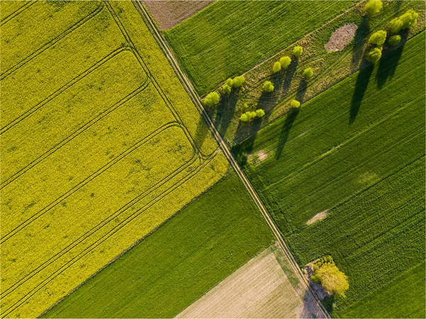 Yukarıdan Güzel Yeşil Yay Tarlaları Drone Arazisi — Stok fotoğraf