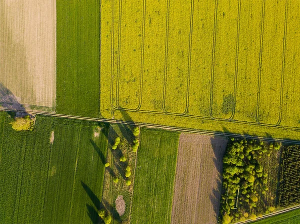 Beautiful Green Spring Fields Drone Landscape — Stock Photo, Image