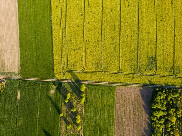Beautiful green spring fields from above. Drone landscape