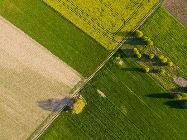 Bellissimi Campi Verdi Primaverili Dall Alto Paesaggio Drone Foto Stock Royalty Free