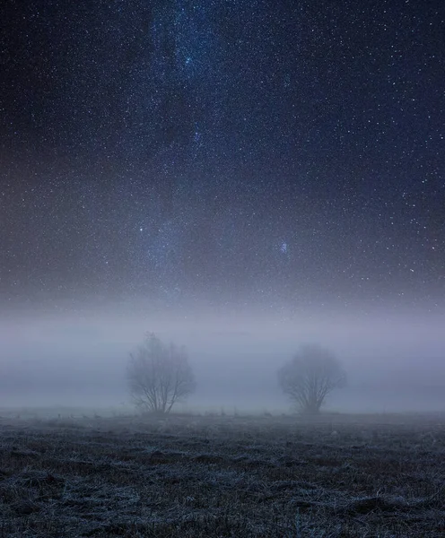 Nocny Upiorny Krajobraz Mglistymi Polami Pod Rozgwieżdżonym Niebem — Zdjęcie stockowe