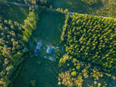 Ormandaki ev yukarıdan çekilmiş. Ormanda çiftliği olan insansız hava aracı manzarası.