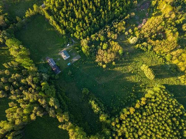 House in forest photographed from above. Drone landscape with farm in woods.