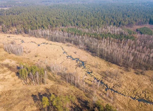 Top down drone landscape with forest in early spring. Poland from above.
