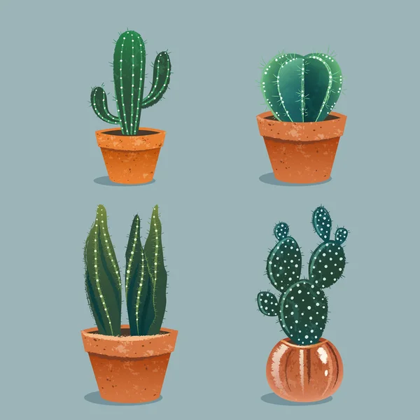 Conjunto de quatro cactos em vaso de flores. Plantas domésticas. Ilustração vetorial — Vetor de Stock