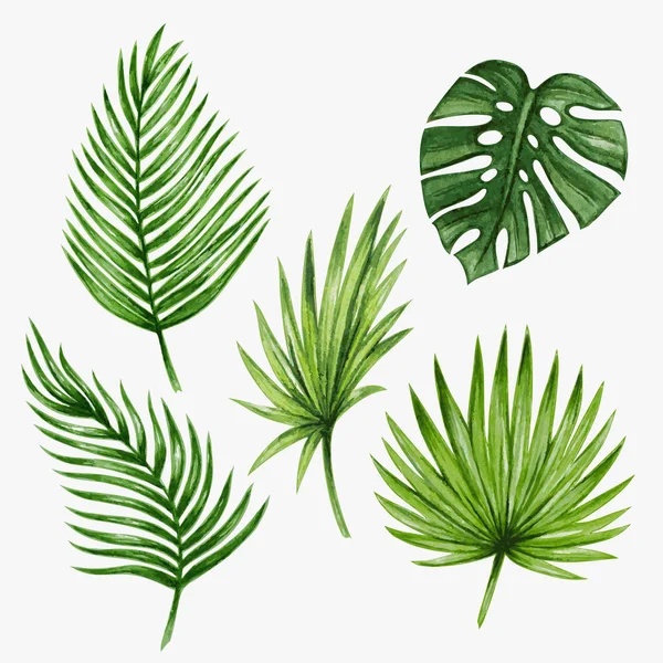 Watercolor tropical palm leaves.