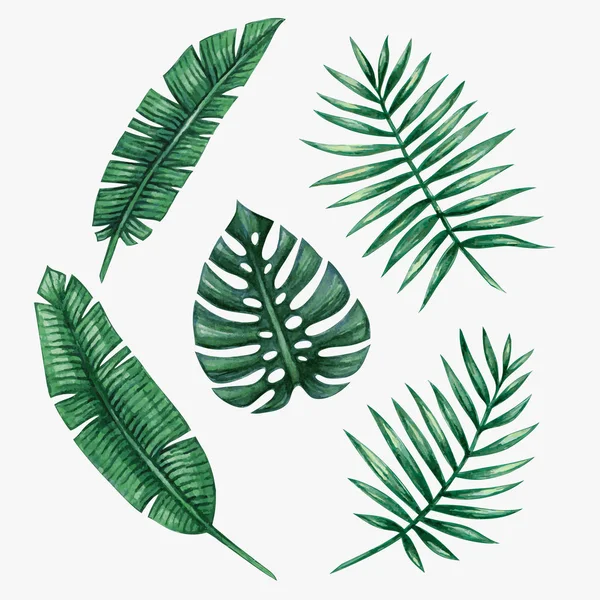 Acquerello foglie di palma tropicale . — Foto Stock