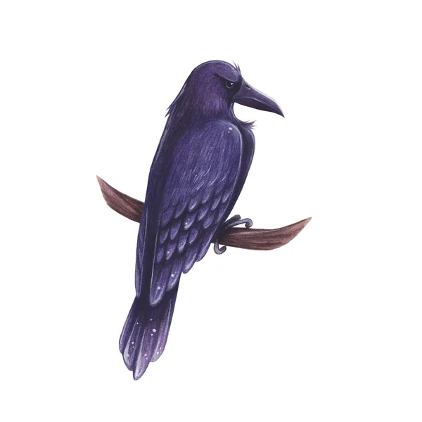 Raven Met Hand Getekend Cartoon Illustratie — Stockfoto