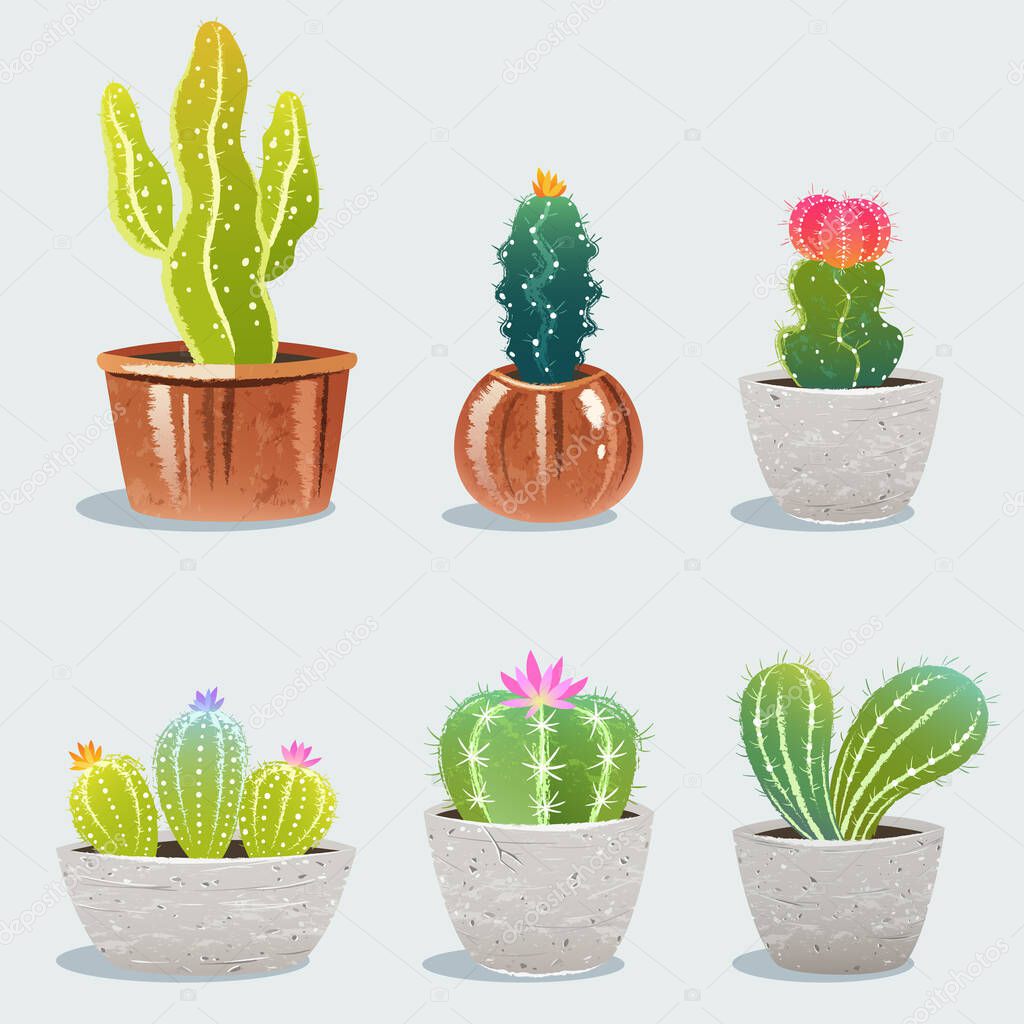 Set of six cactus in flower pot. Home plants. Vector Illustration
